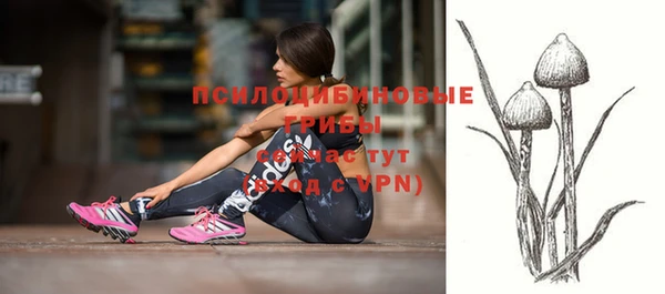 соль курить ск Белокуриха