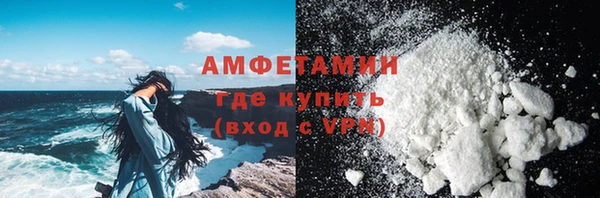 ПСИЛОЦИБИНОВЫЕ ГРИБЫ Богданович